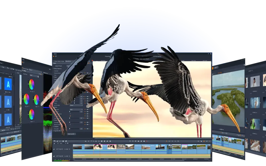Enhance Your Video Editing with Pinnacle Studio Ultimate
