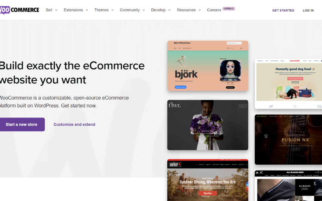 WooCommerce: The Ultimate E-commerce Solution for WordPress