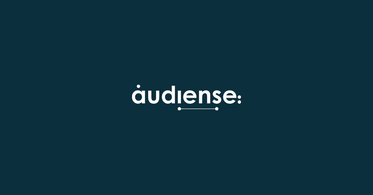 Audiense-WeblifyAi