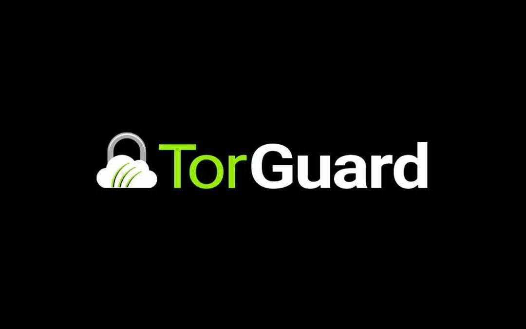TorGuardVPN: Guarding Your Digital Footsteps!
